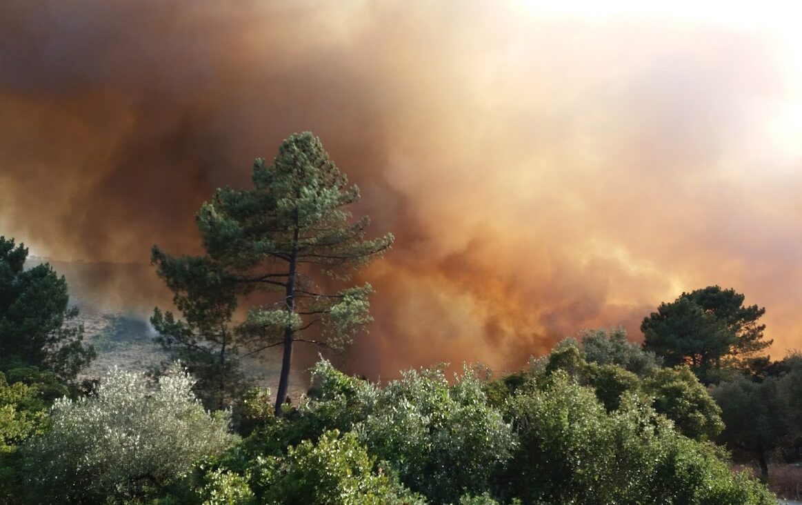 Maximaler Feueralarm in 40 portugiesischen Gemeinden