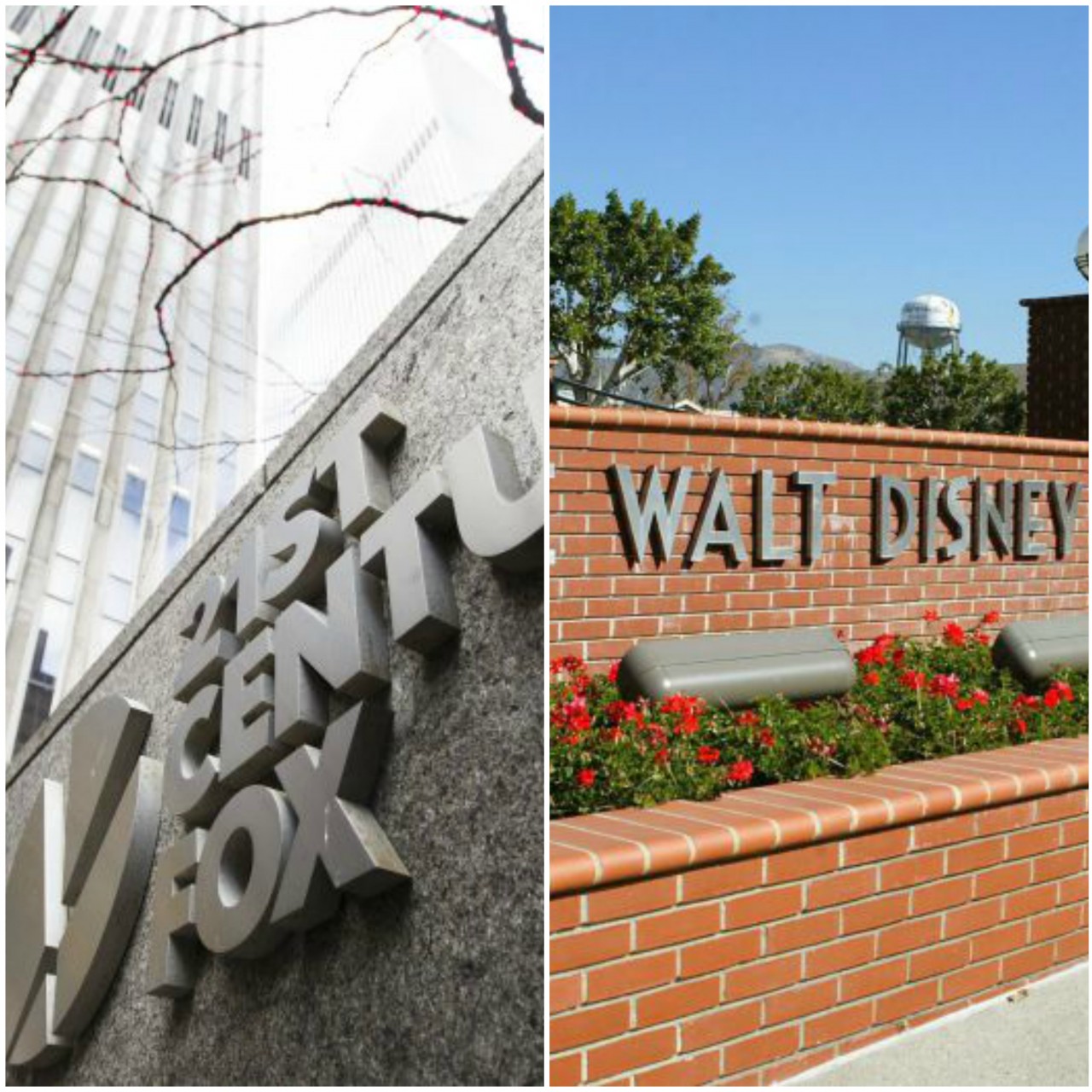 Disney adquire Fox por 44,3 mil milhões de euros - BOM DIA Luxemburgo