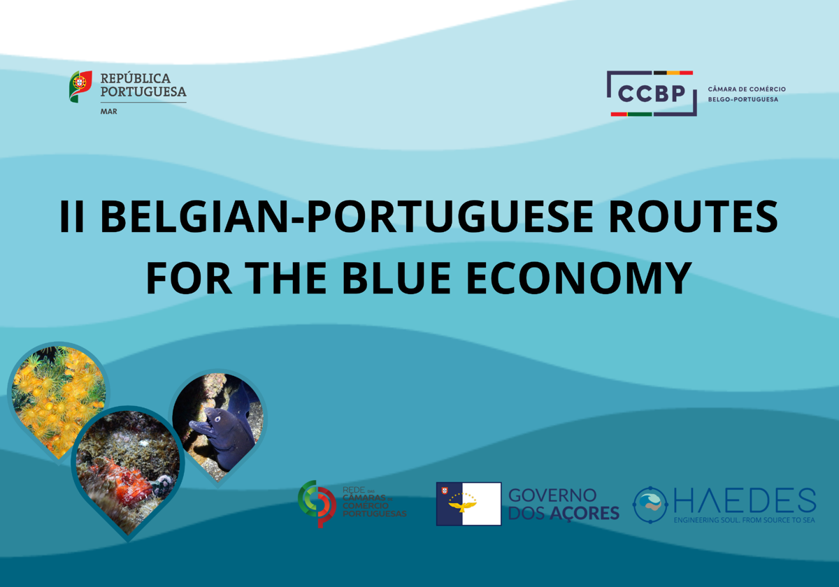 Câmara de Comércio Belgo-Portuguesa organiza fórum sobre a economia marinha  - BOM DIA Luxemburgo