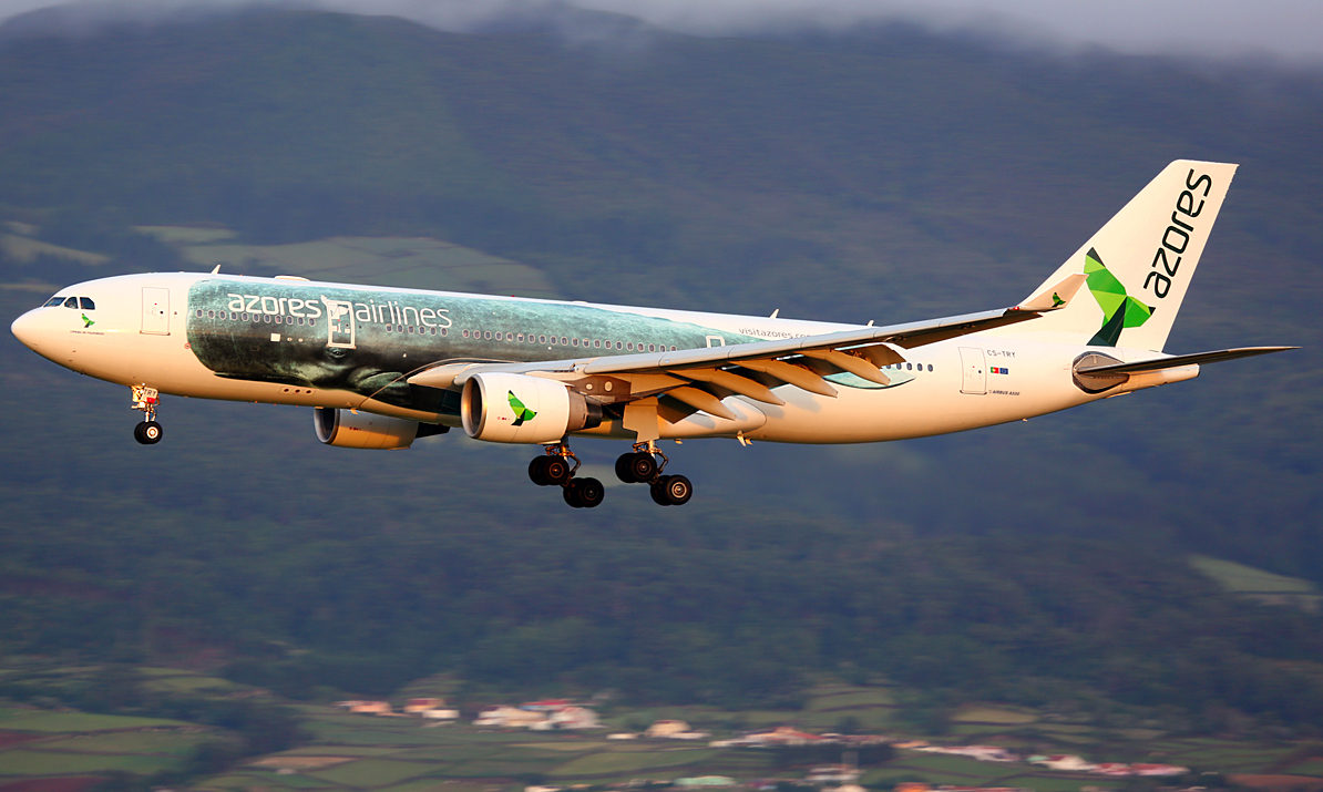Decoração de avião da Azores Airlines entre as mais bonitas do mundo