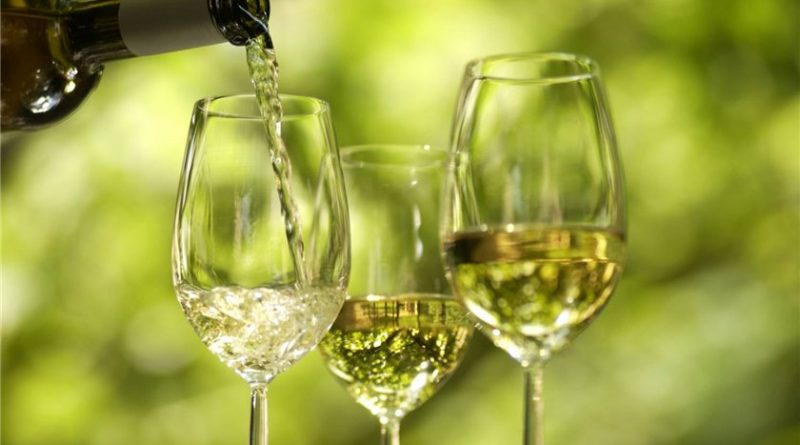 Resultado de imagem para wine experience vinhos verdes